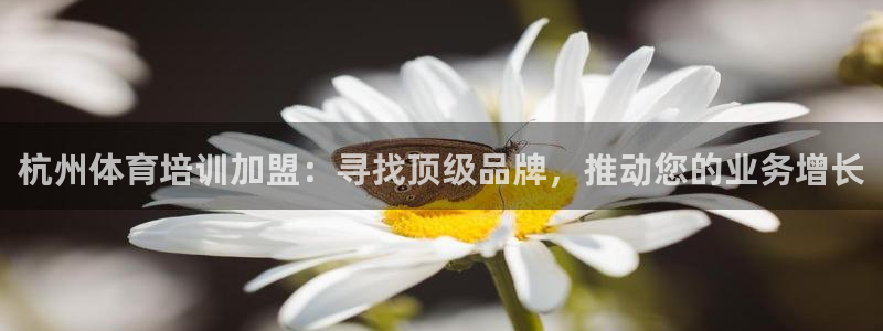 焦点娱乐官网首页入口：杭州体育培训加盟：寻找顶级品牌