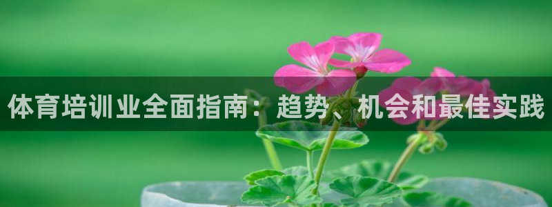 焦点娱乐传媒有限公司招聘电话：体育培训业全面指南：趋