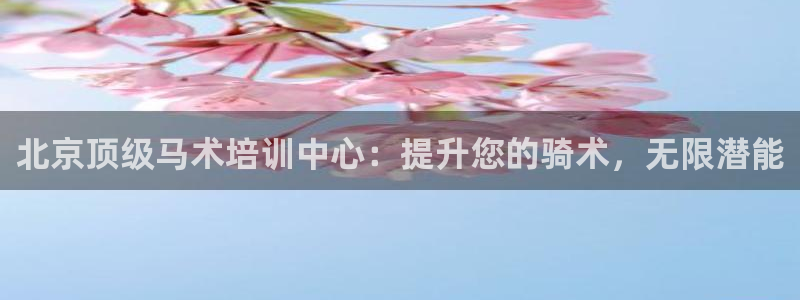 焦点娱乐平台例7O777：北京顶级马术培训中心：提升