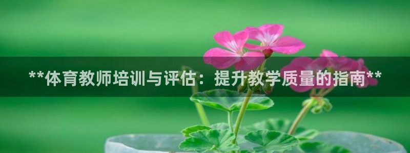 焦点娱乐公司：**体育教师培训与评估：提升教学质量的