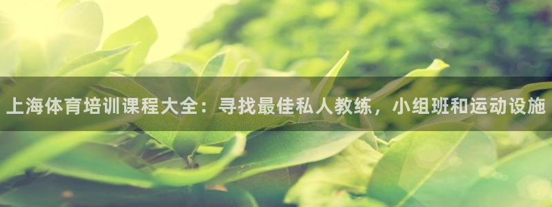 焦点娱乐官网下载安装：上海体育培训课程大全：寻找最佳