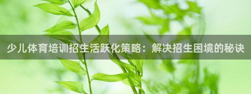 焦点娱乐官网下载安装手机版最新：少儿体育培训招生活跃化策略：