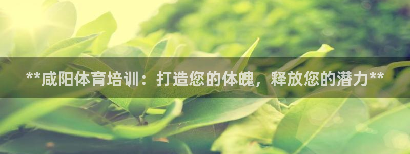 焦点娱乐app下载官网苹果版：**咸阳体育培训：打造您的体魄